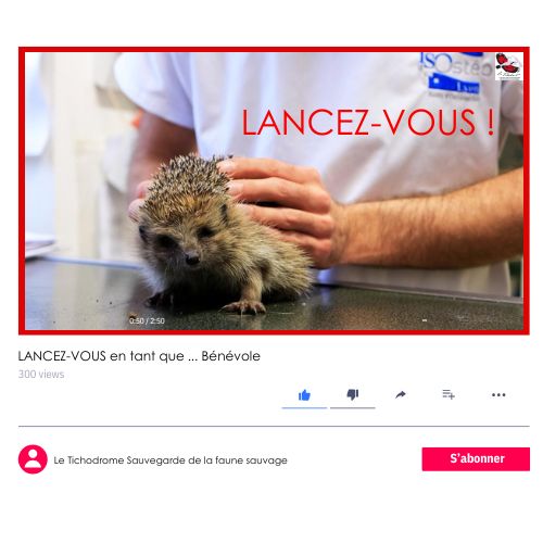 Mockup bénévole