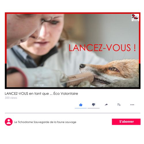 Mockup éco volontaire