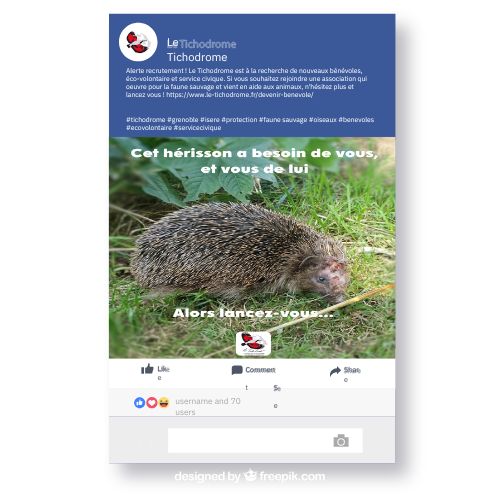 Mockup post Facebook