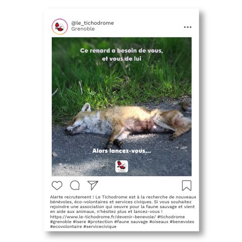 Mockup post Instagram